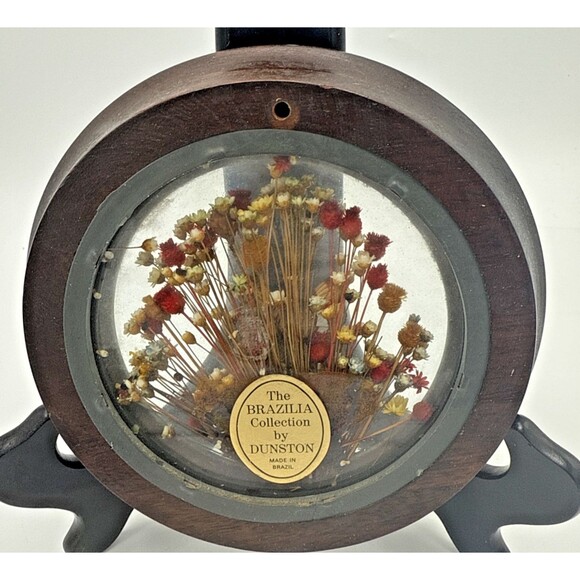 2-Vintage The Brazilia Collection By Dunston Butterflies & Dried Flowers 6.5" - Picture 5 of 14